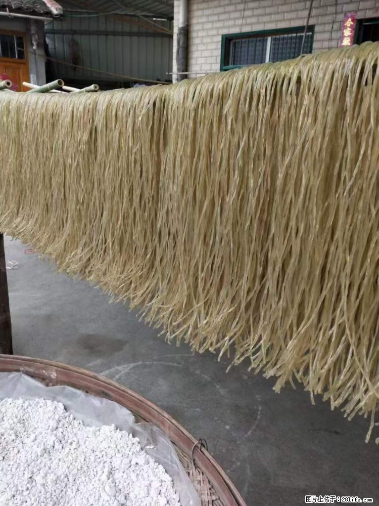 【灌阳正宗红薯粉】美女家里自己做的，干净卫生，假一赔十，价格合理，抢购电话：13737312895 - 美食天地 - 淄博生活社区 - 淄博28生活网 zb.28life.net