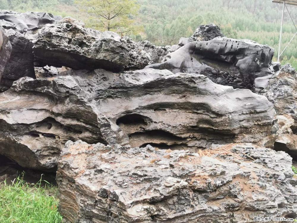 风景石、假山石大量有货，有需要的欢迎联系 - 新手上路 - 淄博生活社区 - 淄博28生活网 zb.28life.net