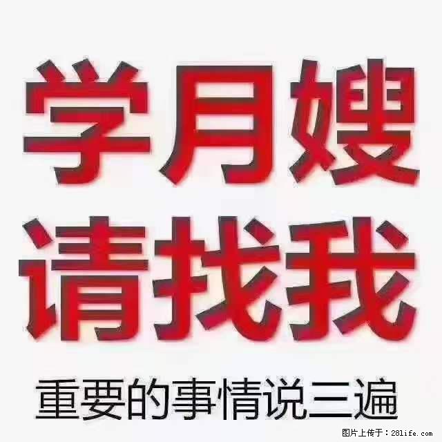 为什么要学习月嫂，育婴师？ - 新手上路 - 淄博生活社区 - 淄博28生活网 zb.28life.net