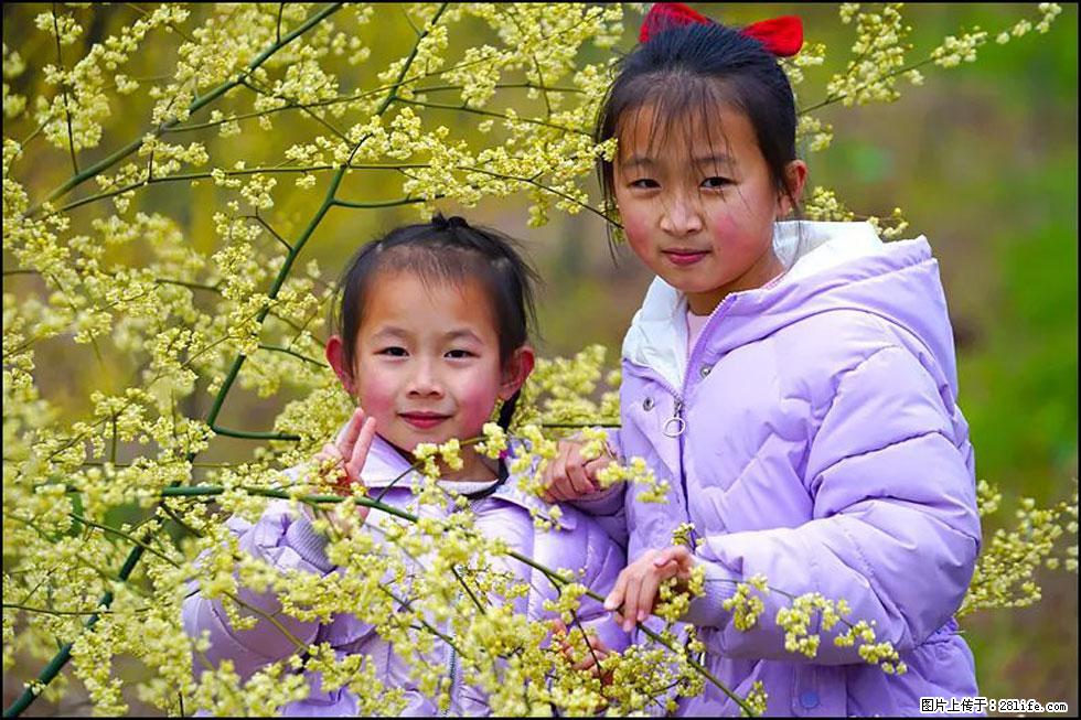【春天,广西桂林灌阳县向您发出邀请!】米珠山前有片山苍子花在飘香 - 游山玩水 - 淄博生活社区 - 淄博28生活网 zb.28life.net
