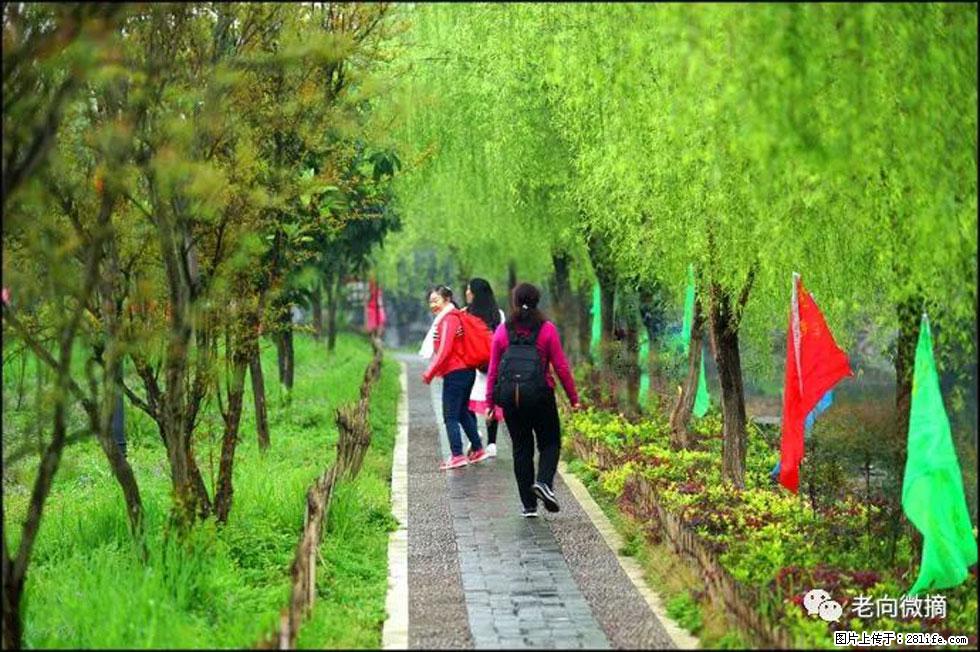 【春天，广西桂林灌阳县向您发出邀请！】江口老街又逢春 - 游山玩水 - 淄博生活社区 - 淄博28生活网 zb.28life.net