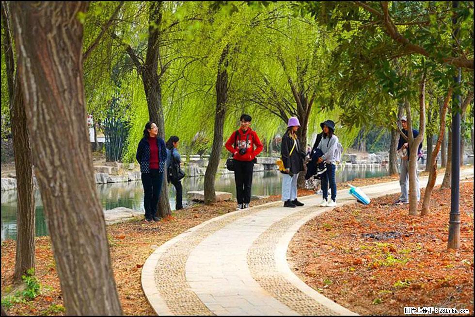 【春天，广西桂林灌阳县向您发出邀请！】江口老街又逢春 - 游山玩水 - 淄博生活社区 - 淄博28生活网 zb.28life.net