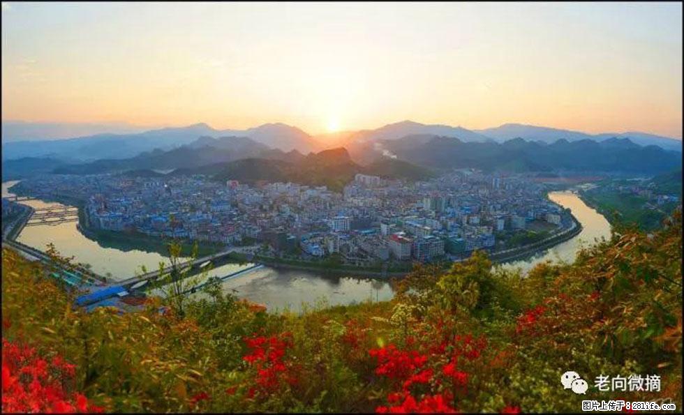 【春天，广西桂林灌阳县向您发出邀请！】登麒麟山，相约映山红 - 游山玩水 - 淄博生活社区 - 淄博28生活网 zb.28life.net