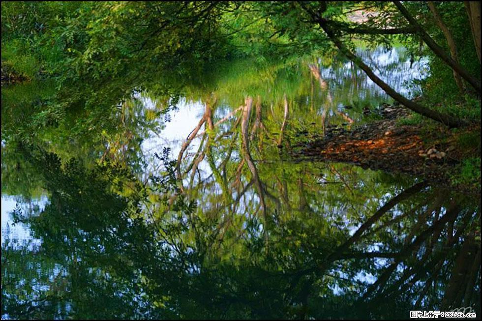 【春天，广西桂林灌阳县向您发出邀请！】熊家寨湿地公园 - 游山玩水 - 淄博生活社区 - 淄博28生活网 zb.28life.net