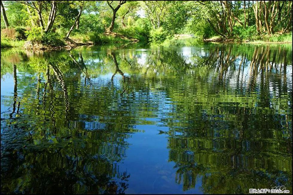 【春天，广西桂林灌阳县向您发出邀请！】熊家寨湿地公园 - 游山玩水 - 淄博生活社区 - 淄博28生活网 zb.28life.net