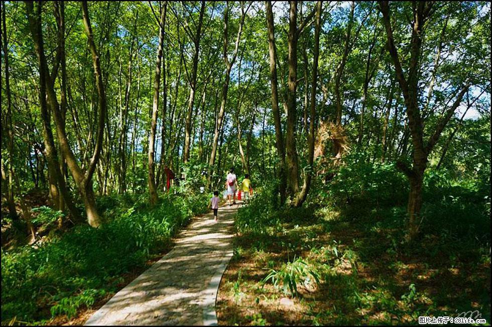 【春天，广西桂林灌阳县向您发出邀请！】熊家寨湿地公园 - 游山玩水 - 淄博生活社区 - 淄博28生活网 zb.28life.net