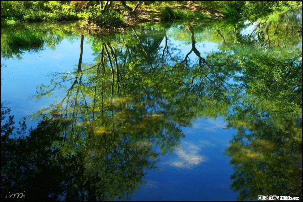 【春天，广西桂林灌阳县向您发出邀请！】熊家寨湿地公园 - 游山玩水 - 淄博生活社区 - 淄博28生活网 zb.28life.net