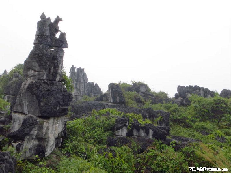 桂林旅游名城景点：灌阳文市石林 - 游山玩水 - 淄博生活社区 - 淄博28生活网 zb.28life.net