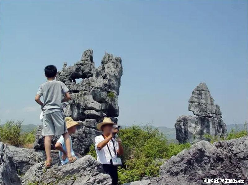 桂林旅游名城景点：灌阳文市石林 - 游山玩水 - 淄博生活社区 - 淄博28生活网 zb.28life.net