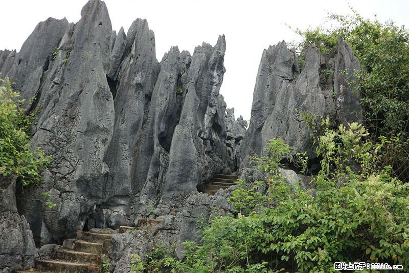 桂林旅游名城景点：灌阳文市石林 - 游山玩水 - 淄博生活社区 - 淄博28生活网 zb.28life.net