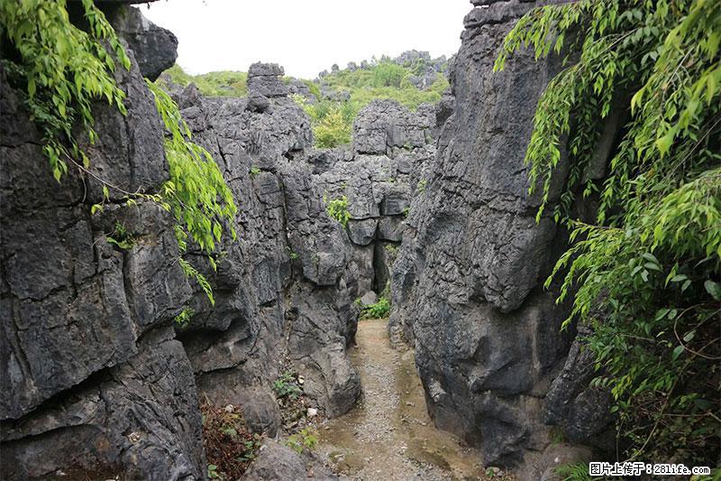 桂林旅游名城景点：灌阳文市石林 - 游山玩水 - 淄博生活社区 - 淄博28生活网 zb.28life.net