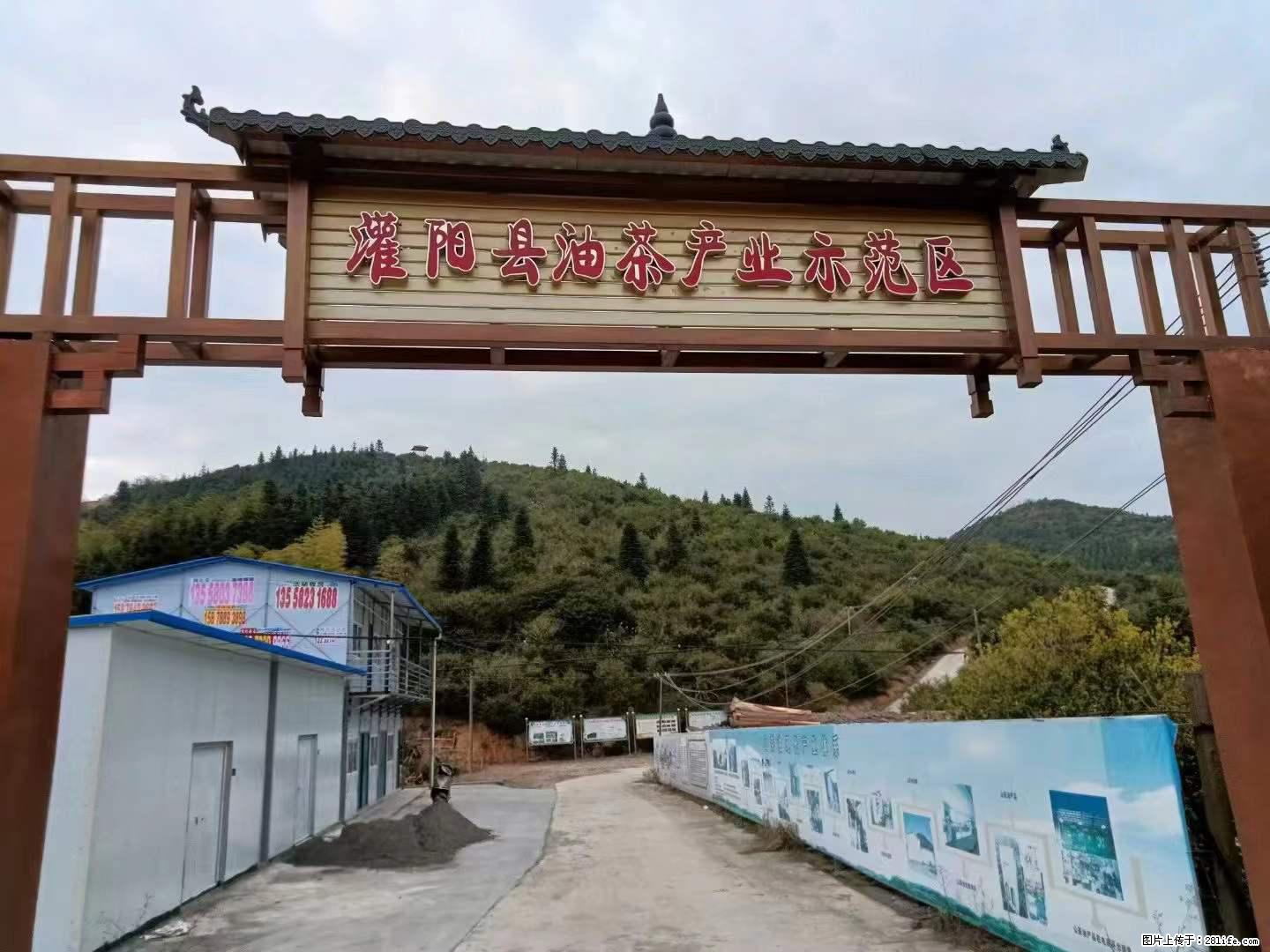 【灌阳县油茶产业示范区】一个有着充实的精神生活的人，对待身外之物自会有一种淡泊的态度 - 土特产 - 饮食特产 - 淄博分类信息 - 淄博28生活网 zb.28life.net
