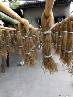 【灌阳正宗红薯粉】美女家里自己做的，干净卫生，假一赔十，价格合理，抢购电话：13737312895 - 淄博28生活网 zb.28life.net