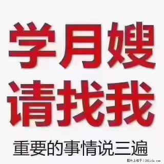 为什么要学习月嫂，育婴师？ - 淄博28生活网 zb.28life.net