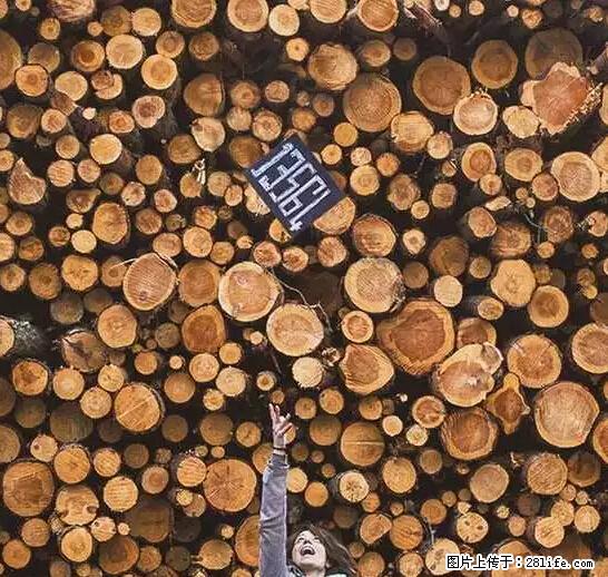 辞掉工作周游世界？现在他们在洗厕所…… - 游山玩水 - 淄博生活社区 - 淄博28生活网 zb.28life.net