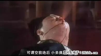 笑癫了！一女的怀孕三年未生，他终于忍不住了... - 娱乐八卦 - 淄博生活社区 - 淄博28生活网 zb.28life.net