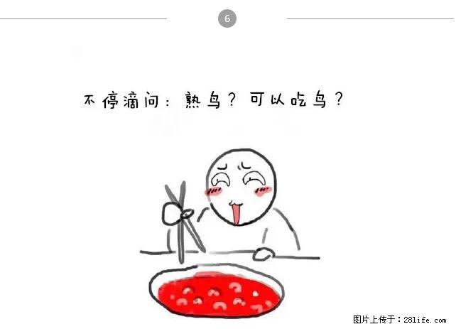 千万不要和这9种哈卵一起吃火锅！ - 美食天地 - 淄博生活社区 - 淄博28生活网 zb.28life.net