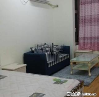 实拍 中央国际 精装一室 可短租 紧邻万象汇 - 淄博28生活网 zb.28life.net