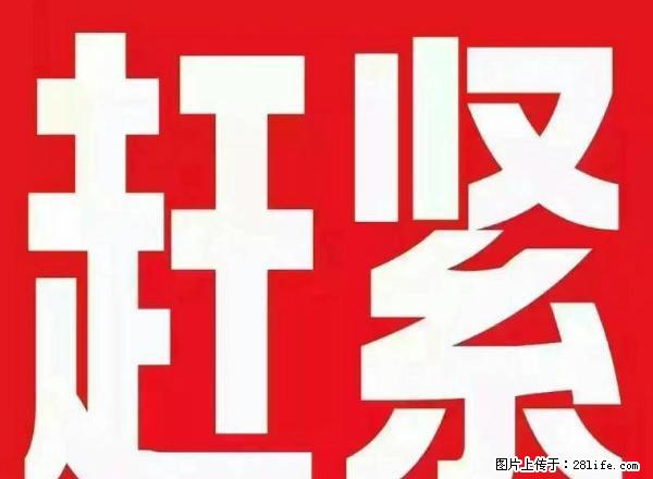 急租，盛世名苑两室，电梯房，精装修，带家具家电，拎包入住！ - 房屋出租 - 房屋租售 - 淄博分类信息 - 淄博28生活网 zb.28life.net
