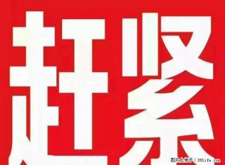 急租，盛世名苑两室，电梯房，精装修，带家具家电，拎包入住！ - 淄博28生活网 zb.28life.net