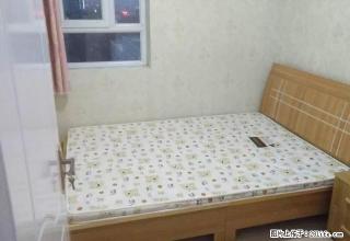 佳美国际 紧邻莲池七中大润发 电梯拎包入住 ！ - 淄博28生活网 zb.28life.net