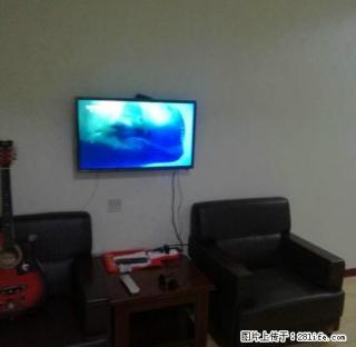实拍 鑫城中心 温馨一居室 朝南的 品牌家具家电 欢迎看房 - 淄博28生活网 zb.28life.net