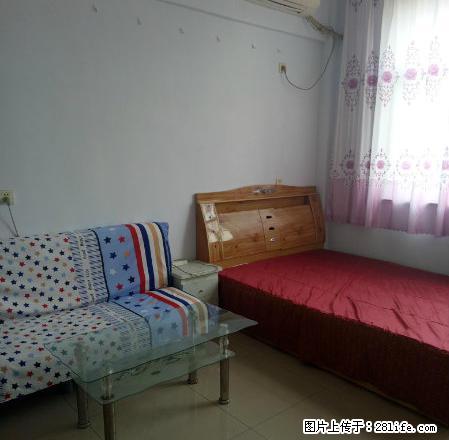 火车站美食街附近兴学街泰达公寓精装家具家电齐全拎包入住 - 房屋出租 - 房屋租售 - 淄博分类信息 - 淄博28生活网 zb.28life.net