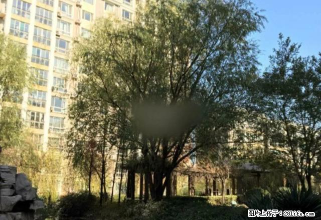 火炬公园西 时代名都 一楼 精装2室 家具家电全 实景图片 - 房屋出租 - 房屋租售 - 淄博分类信息 - 淄博28生活网 zb.28life.net
