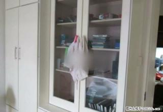 联通路 丽景翠苑 精装2室 家具家电全 包含网费 实景图片 - 淄博28生活网 zb.28life.net