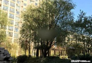 火炬公园西 时代名都 一楼 精装2室 家具家电全 实景图片 - 淄博28生活网 zb.28life.net