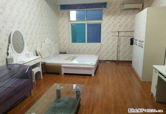 电梯房一品公寓50平带新家具 出租 - 房屋出租 - 房屋租售 - 淄博分类信息 - 淄博28生活网 zb.28life.net