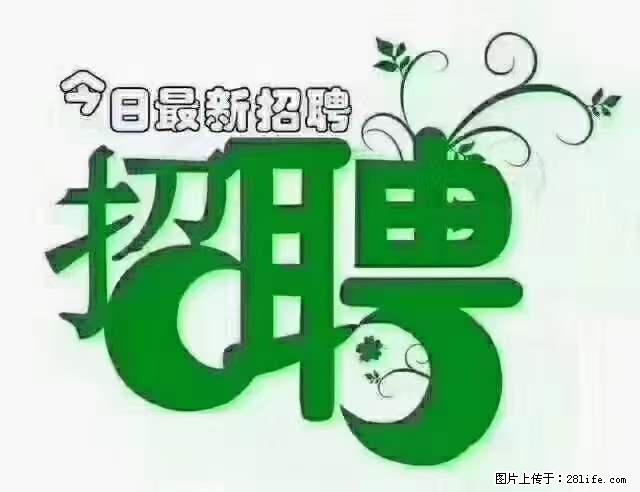 【招聘】产康师 - 职场交流 - 淄博生活社区 - 淄博28生活网 zb.28life.net