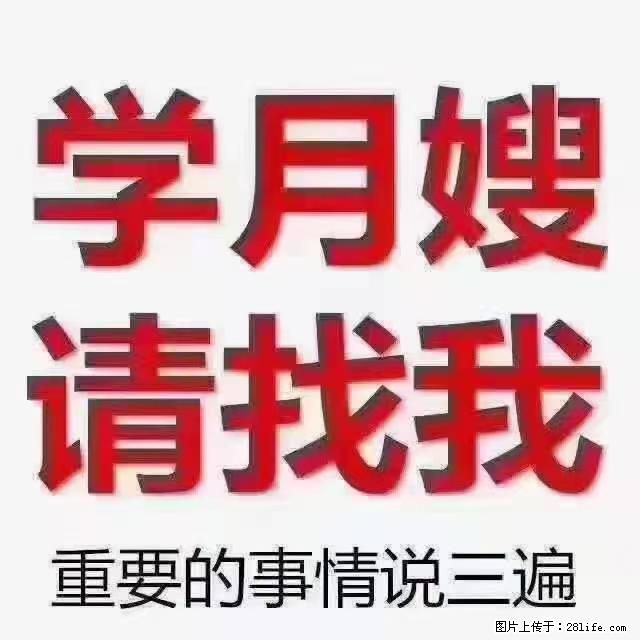 【招聘】月嫂,上海徐汇区 - 职场交流 - 淄博生活社区 - 淄博28生活网 zb.28life.net