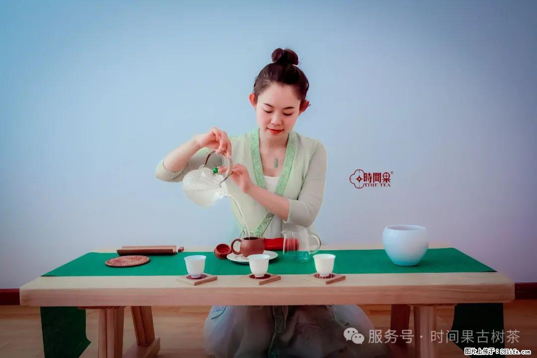 时间果百年古树龙珠普洱生茶 - 购物交流 - 淄博生活社区 - 淄博28生活网 zb.28life.net