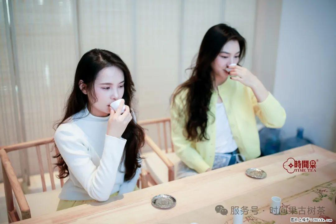 时间果百年古树龙珠普洱生茶 - 购物交流 - 淄博生活社区 - 淄博28生活网 zb.28life.net