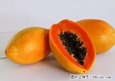 晕车、脚气、牙齿变黄、皮肤粗糙？学会这些三分钟搞定！ - 淄博生活资讯 - 淄博28生活网 zb.28life.net