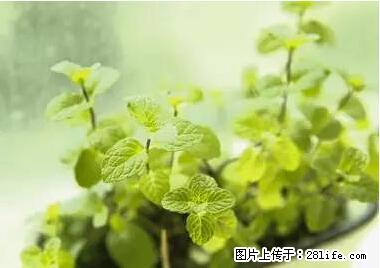 晕车、脚气、牙齿变黄、皮肤粗糙？学会这些三分钟搞定！ - 淄博生活资讯 - 淄博28生活网 zb.28life.net