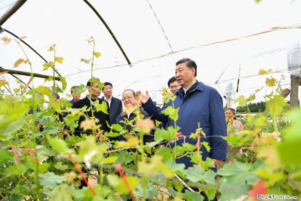 习近平赴广西考察调研 - 淄博生活资讯 - 淄博28生活网 zb.28life.net