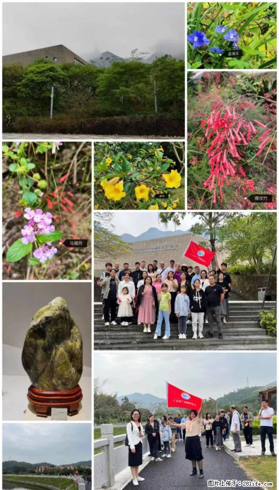 “粤灌文化 美好生活”油茶文化主题活动在广东深圳成功举办 - 淄博生活资讯 - 淄博28生活网 zb.28life.net