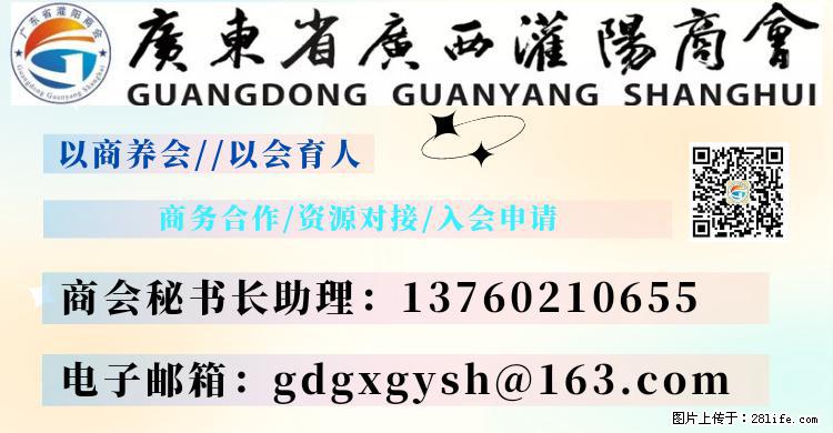 “粤灌文化 美好生活”油茶文化主题活动在广东深圳成功举办 - 淄博生活资讯 - 淄博28生活网 zb.28life.net