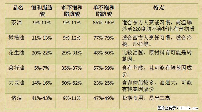 揭秘茶油的5大核心营养成分！被称为人体健康的“守护盾”！ - 淄博生活资讯 - 淄博28生活网 zb.28life.net