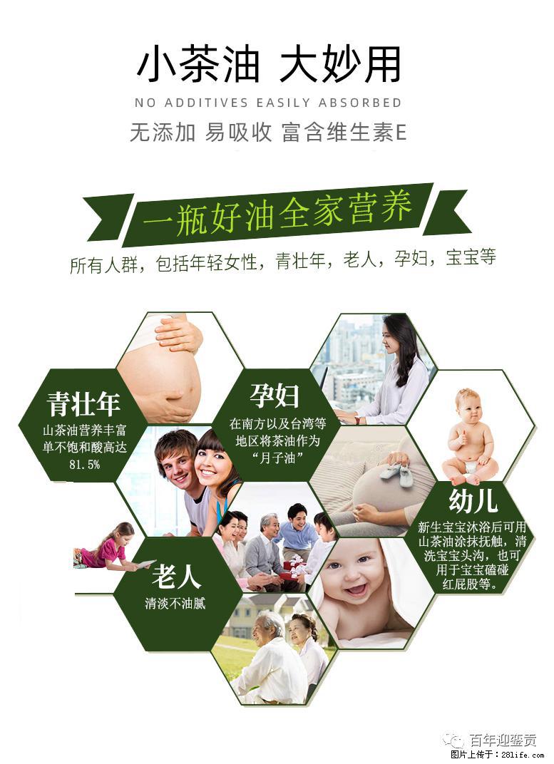 世界没有真相，只有认知，最好的食用油是中国的山茶油！ - 淄博生活资讯 - 淄博28生活网 zb.28life.net