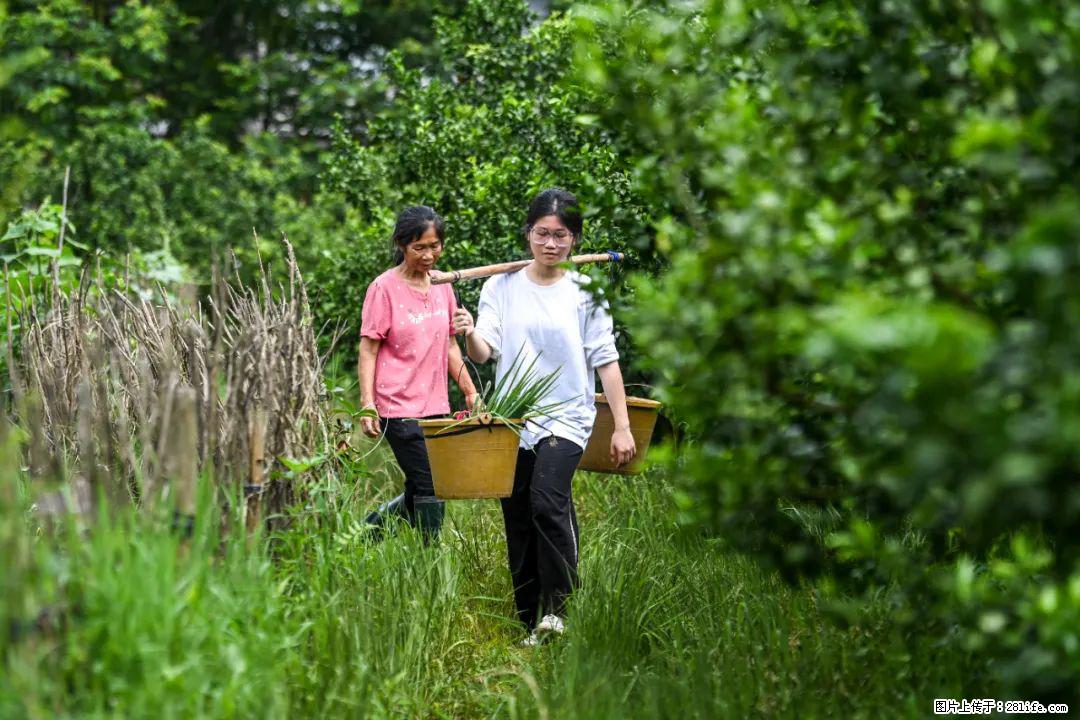 全网追的“扁担女孩”，找了一份暑假工，时薪12元 - 淄博生活资讯 - 淄博28生活网 zb.28life.net