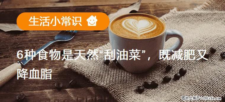 【生活小常识】6种食物是天然“刮油菜”，既减肥又降血脂 - 淄博生活资讯 - 淄博28生活网 zb.28life.net