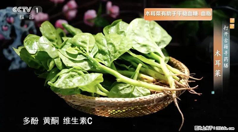 比牛奶补钙还厉害！凉血解毒、稳血糖...这菜冬天必吃，很多人却当草 - 淄博生活资讯 - 淄博28生活网 zb.28life.net