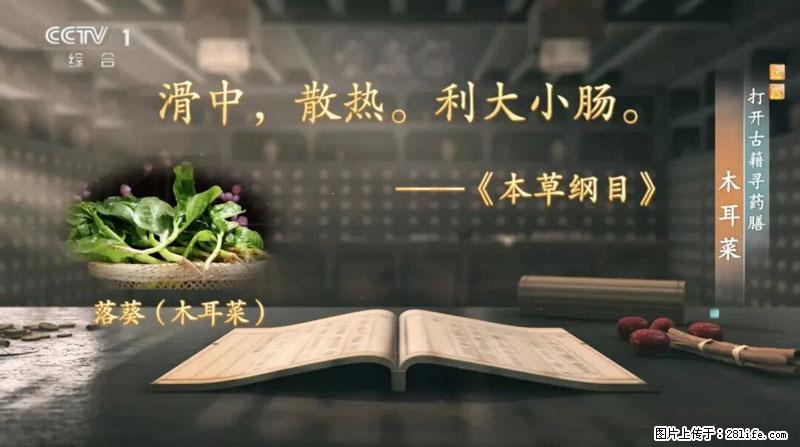比牛奶补钙还厉害！凉血解毒、稳血糖...这菜冬天必吃，很多人却当草 - 淄博生活资讯 - 淄博28生活网 zb.28life.net