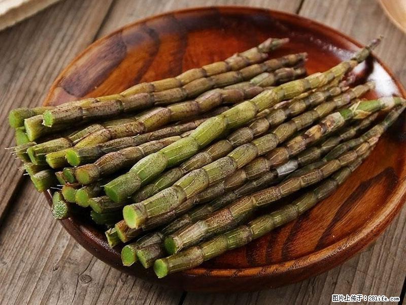 铁皮石斛的作用与功能主治 - 淄博生活资讯 - 淄博28生活网 zb.28life.net