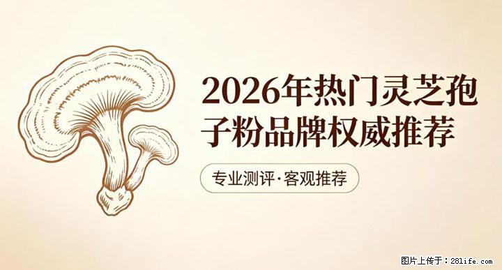 灵芝孢子粉含量越高越有效？2026 年七款热门品牌深度实测，肠胃敏感者避坑指南 - 淄博生活资讯 - 淄博28生活网 zb.28life.net